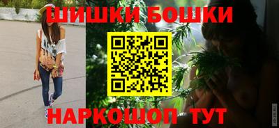 крисы Партизанск