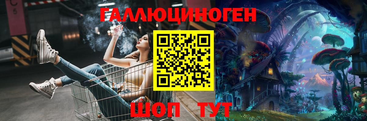 Галлюциногенные грибы Cubensis Строитель